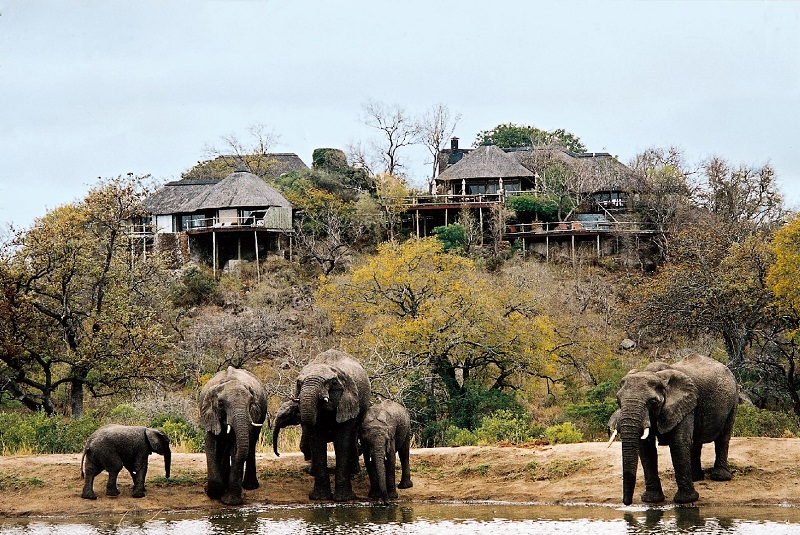 Photo of Leopard Hills Elephant Photo